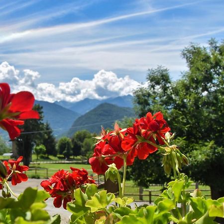 Albergo Ristorante Innocenti Ardenno Eksteriør billede